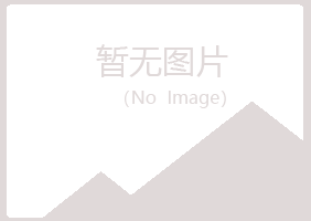 长春字迹咨询有限公司